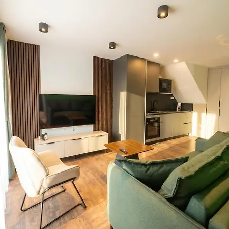 公寓 Le Lounge-prestige Euroairport Hesingue